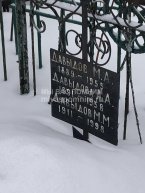 Давыдова А.А.